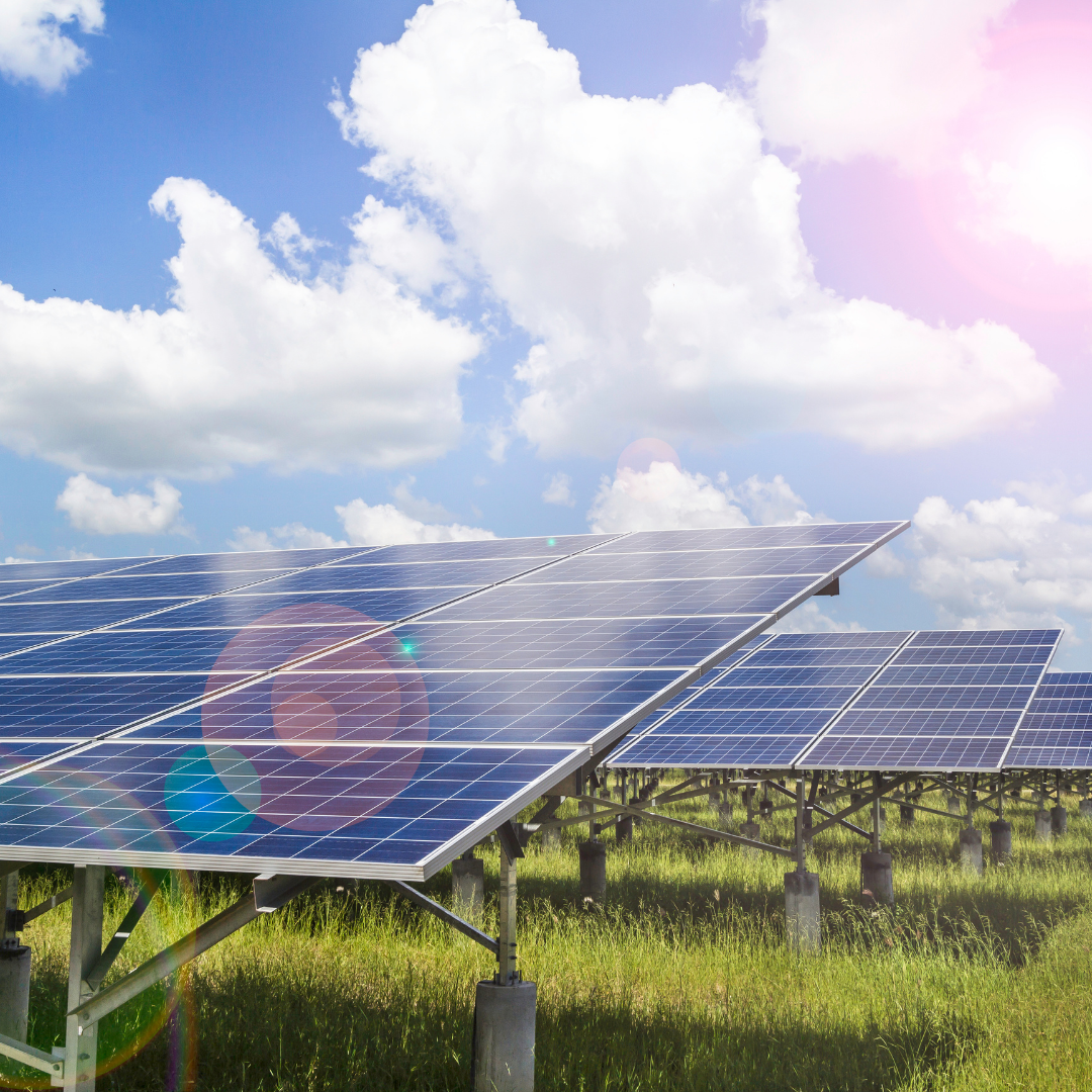 the sun shines bright over a solar farm in virginia